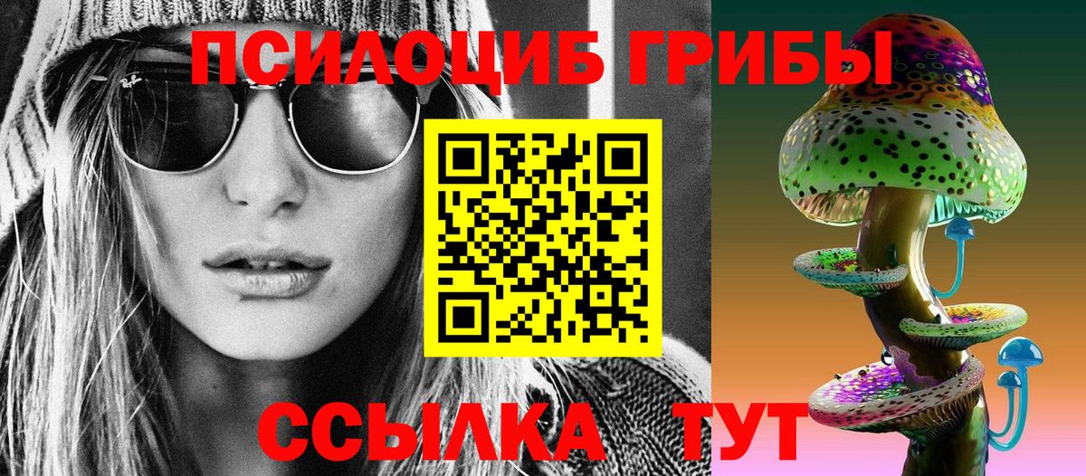Псилоцибиновые грибы мицелий  Галлюциногенные грибы ЛСД  Вход с VPN  как найти наркотики  Дальнегорск 